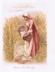 Moses in the bullrushes